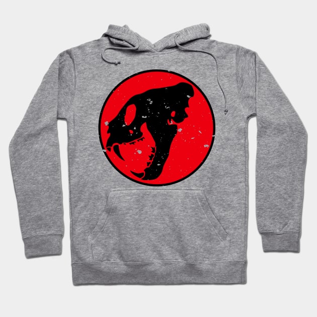 Thunder cat hoodie shop